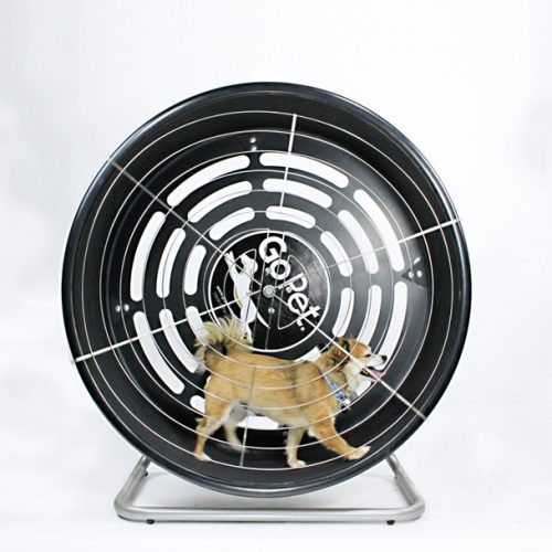 Dog Wheel With Stand Toy-Small Breed