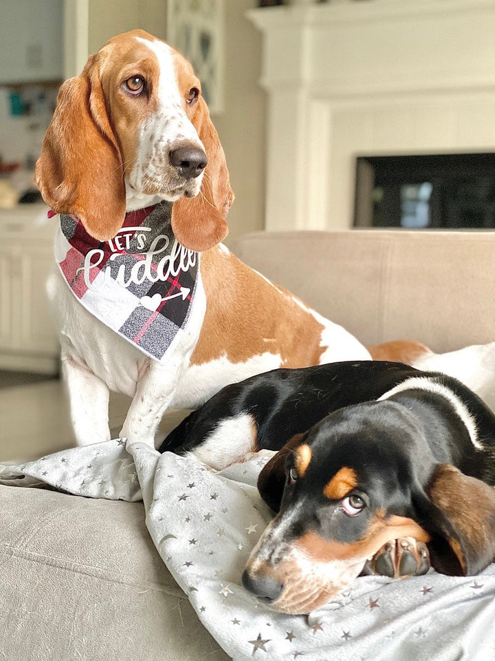 Let's Cuddle Luxe Flannel Dog Bandana