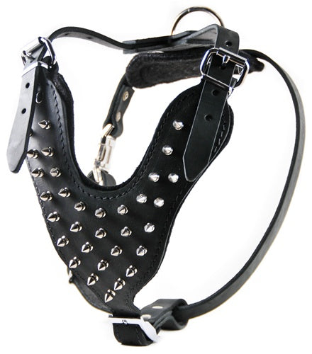 The Blade Harness