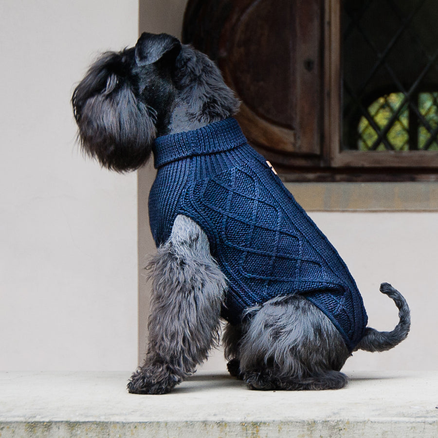 Bespoke Dog Sweater In Blue Pure Wool Emma Firenze