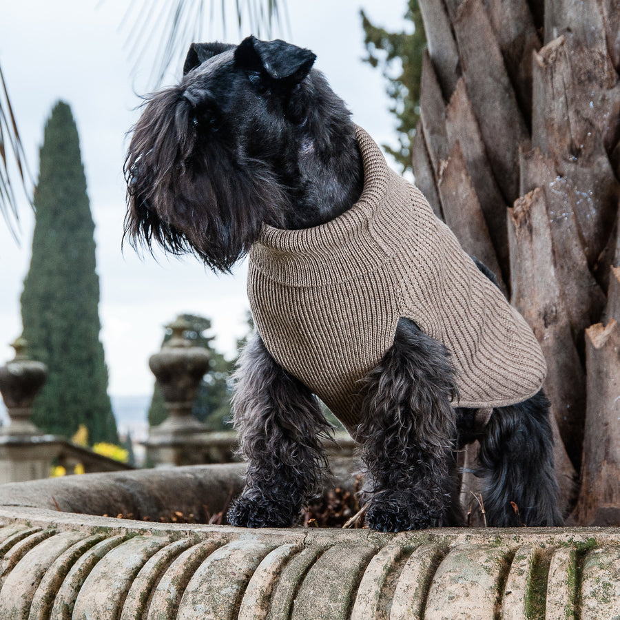 Bespoke Sweater For Dogs In Pure Natural Cashmere Emma Firenze