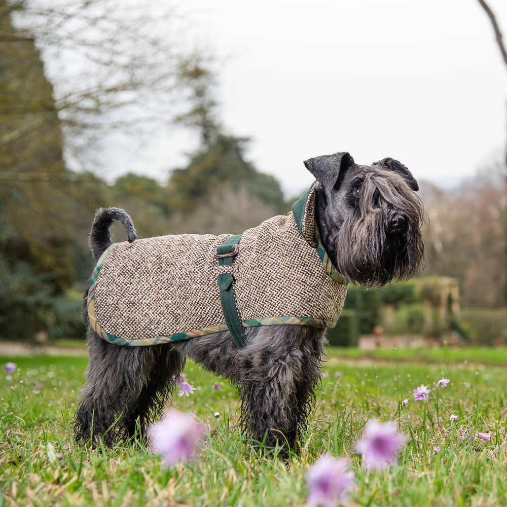 Bespoke Reversible Dog Cloth In Tweed And Green Cashmere Emma Firenze