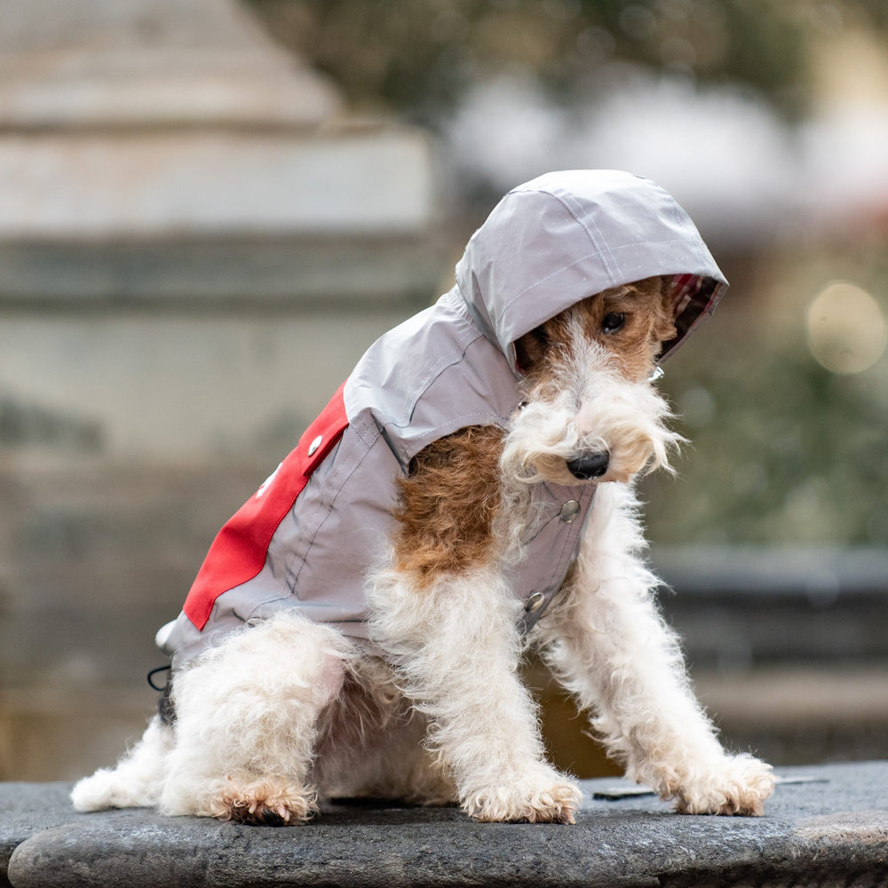 Bespobe Reflective Raincoat For Dogs, Customized And With Hood Emma Firenze