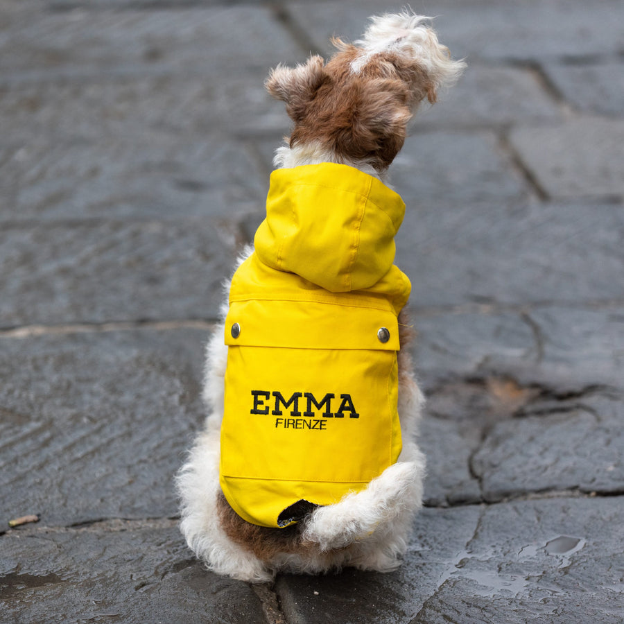 Customized Yellow Raincoat For Dogs, With Hood And Personalized Emma Firenze
