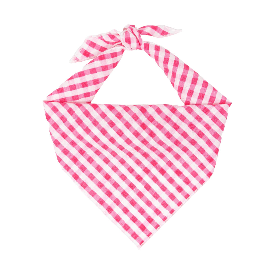 Pink | Hot Pink Gingham Tie Dog Bandana