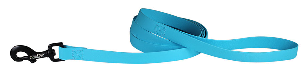 Light Blue Carnival Biothane Dog Collar / Lead