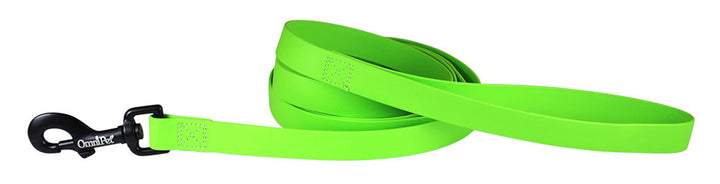 Light Green Carnival Biothane Dog Collar / Lead
