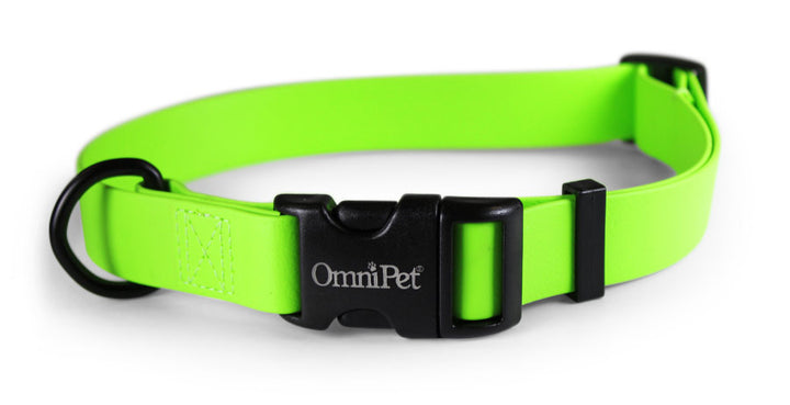 Light Green Carnival Biothane Dog Collar / Lead