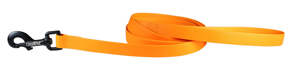 Tangerine Carnival Biothane Dog Collar / Lead