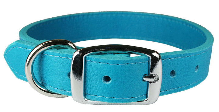Turquoise Luxe Leather Dog Collar / Lead
