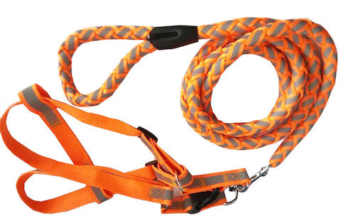 Orange Adjustable 2-In-1 Dog Leash And Harness