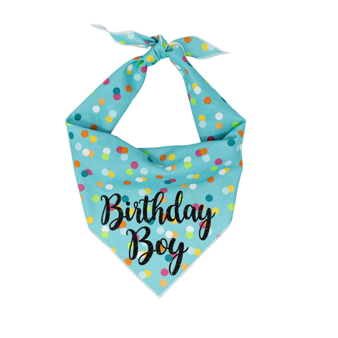 Birthday Boy Blue Polka
