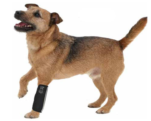 Black Extreme-Neoprene Joint Protective Reflective Pet Sleeves