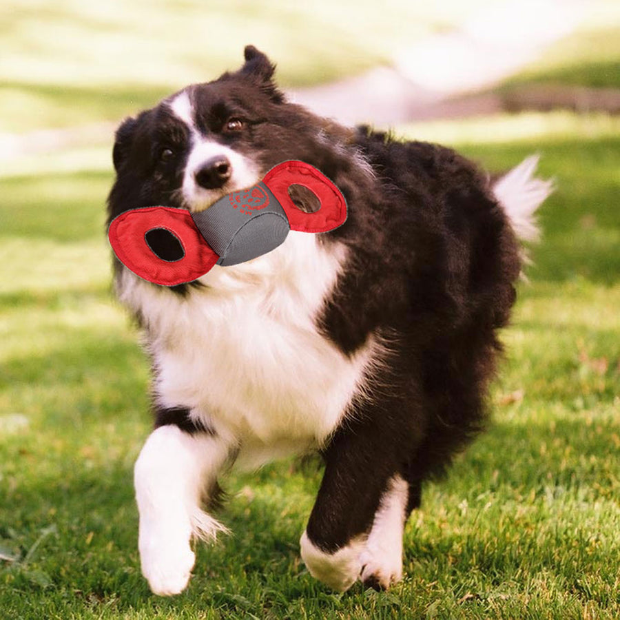 Chompter Dura-Chew Tough Tugging Dog Toy