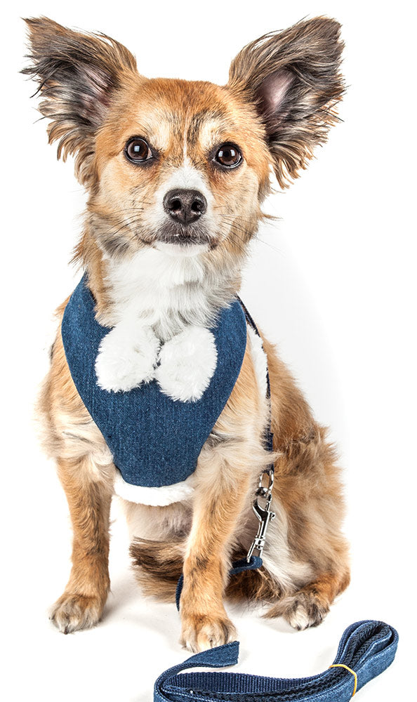 Pet Life LUXE 'Pom Draper' 2-in-1 Navy Blue Mesh Reversed Adjustable Dog Harness-Leash w/ Pom-Pom Bowtie