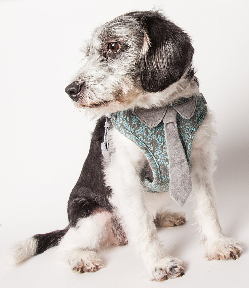 Pet Life 'Fidomite' Blue / Gray Mesh Reversible and Breathable Adjustable Dog Harness w/ Designer Neck Tie