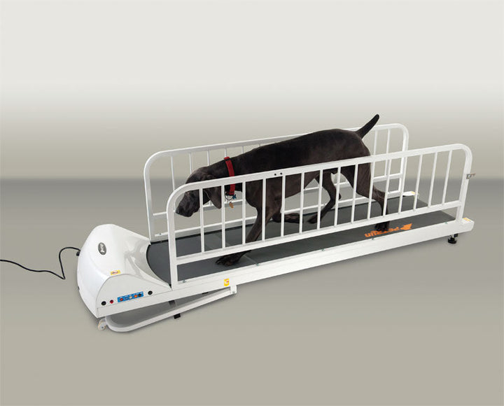 Petrun Large Breed Treadmill