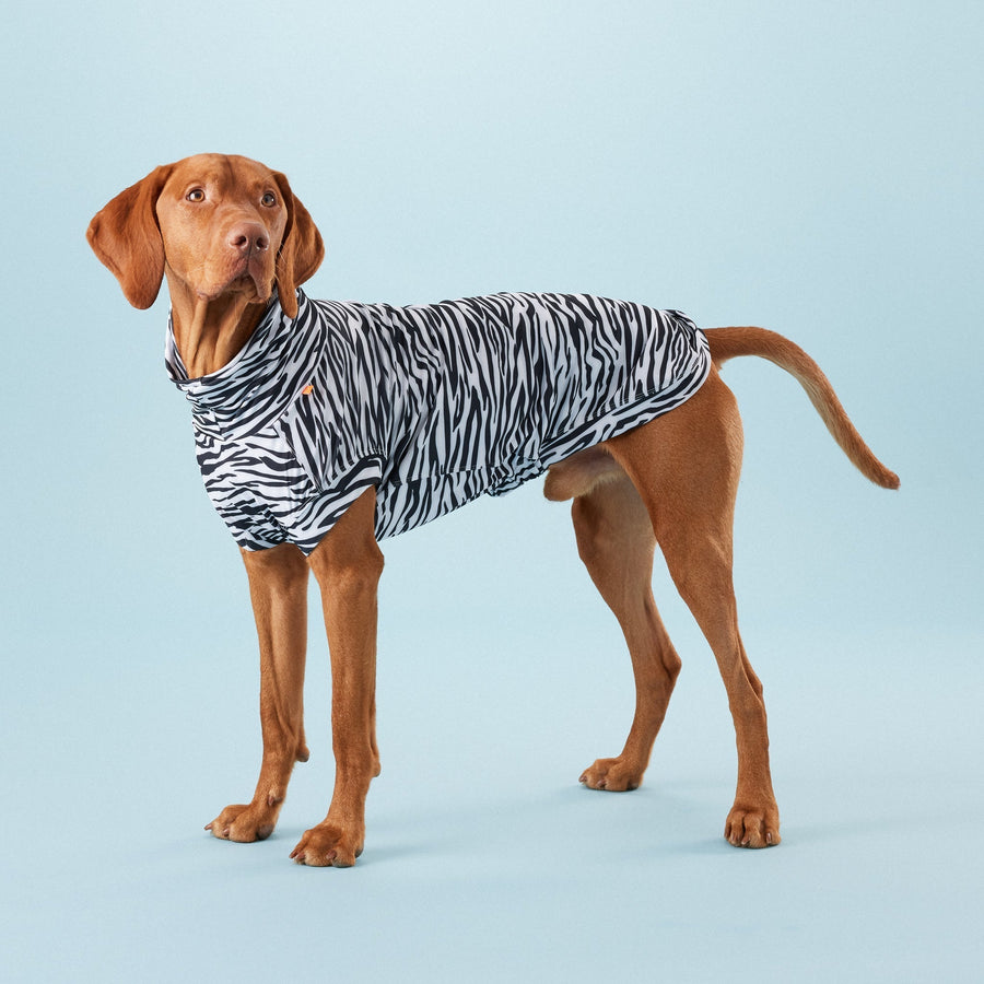 UV & Bug Shirt for Dogs