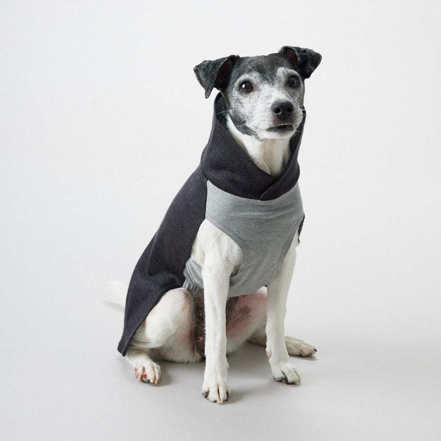 Recovery Shirt Grey for Dogs