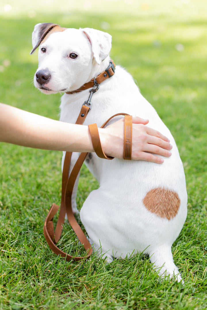 Soft Leather Dog Leash Sport Style