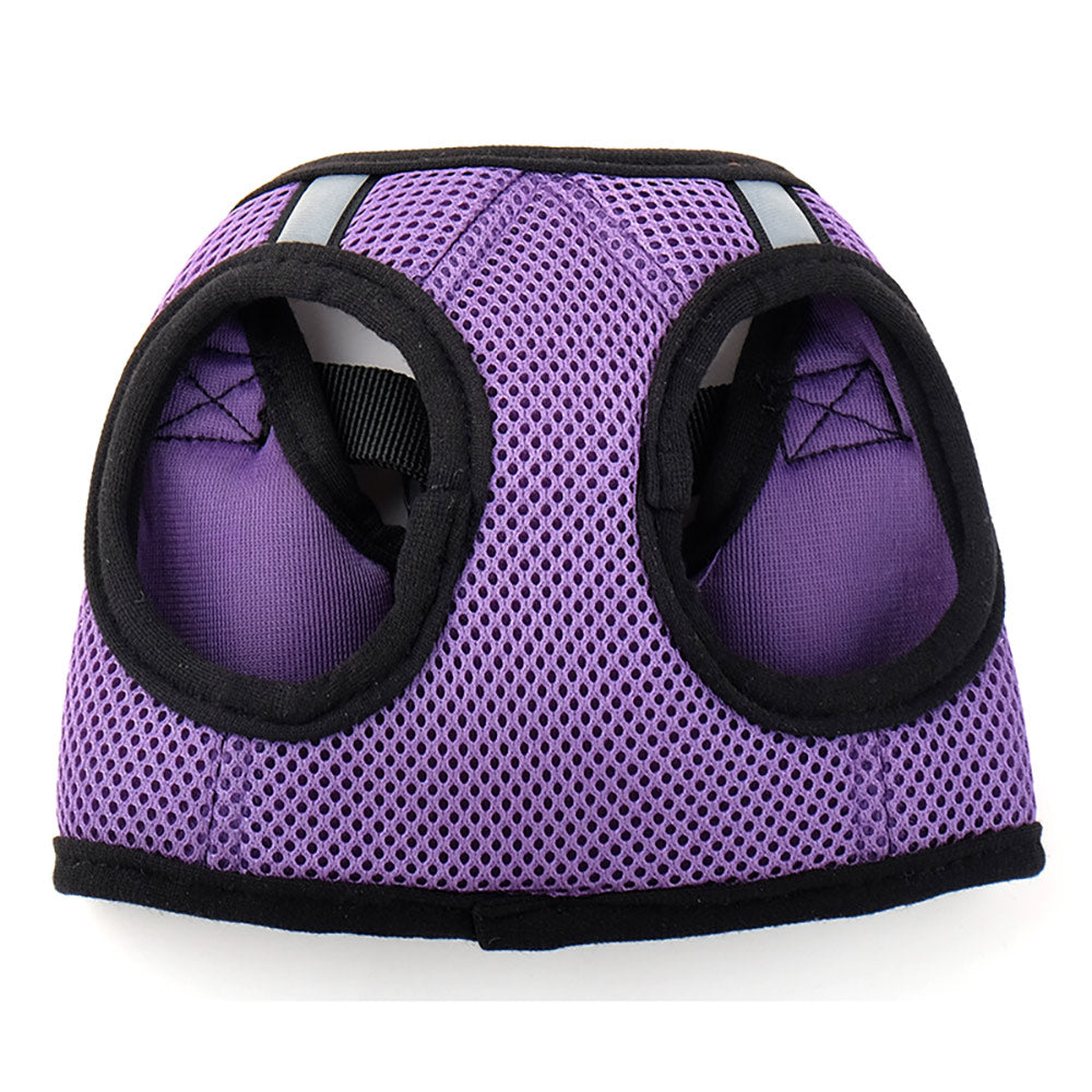 Purple Sidekick Harness