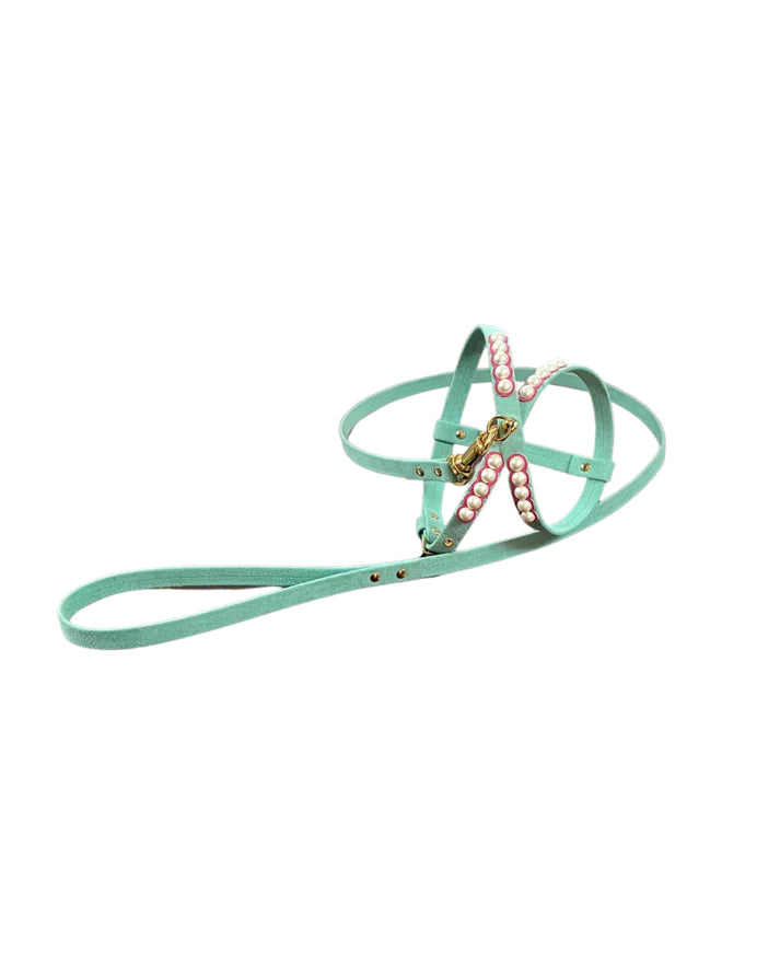 Fashion Dog Harness and Leash Set - Tiffany Blue with Pink and Pearls