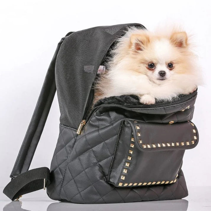 Backpack Dog Carrier - Black with Gold Studs