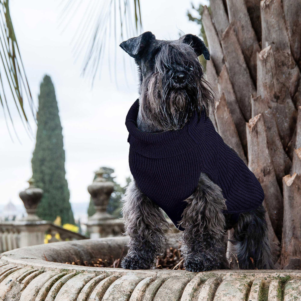 Bespoke Sweater For Dogs In Pure Blu Cashmere Emma Firenze