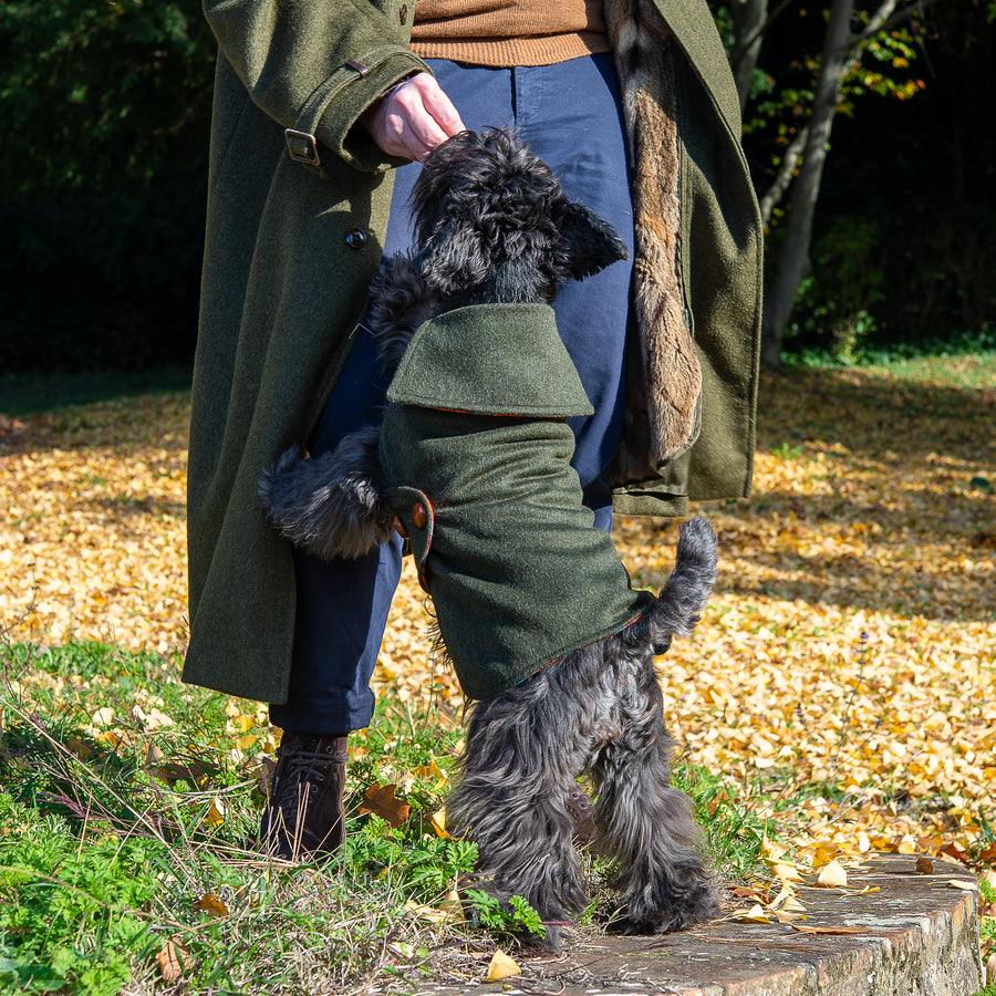 Bespoke Double-Sided Waterproof Dog Coat In Green Loden Fabric Emma Firenze