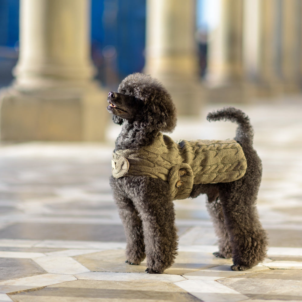 Bespoke Double-Sided Pure Wool Dog Sweater Raincoat Emma Firenze