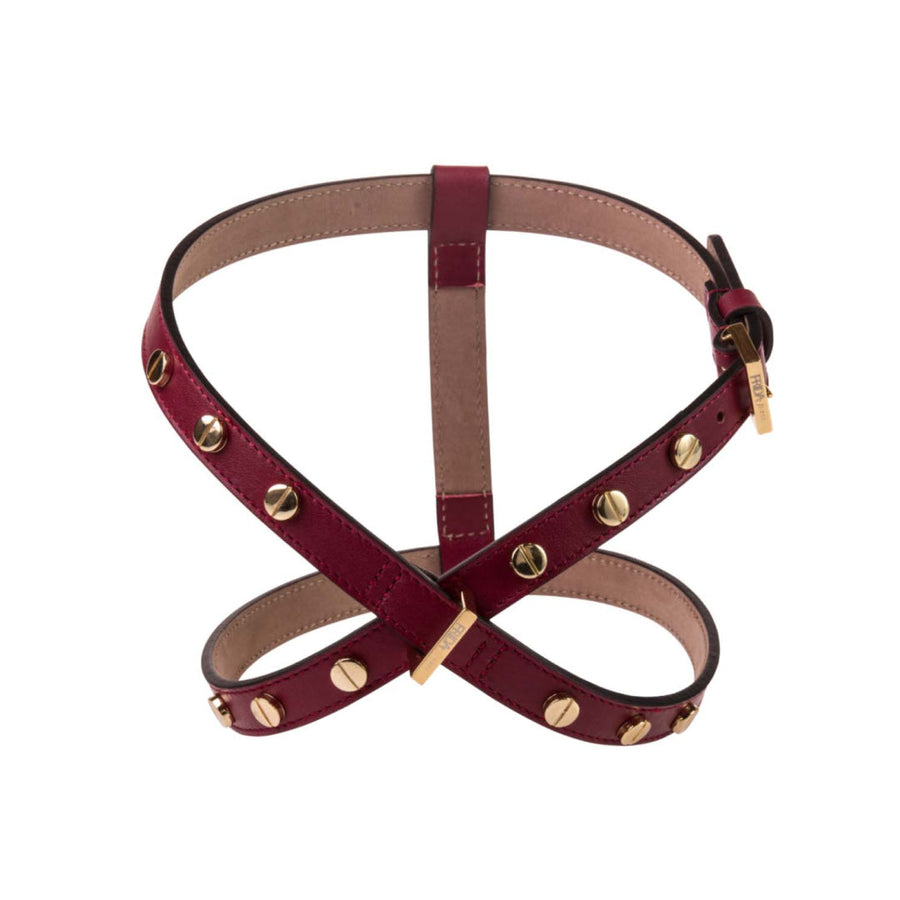 Screw Pet Harness in Red Wine Leather