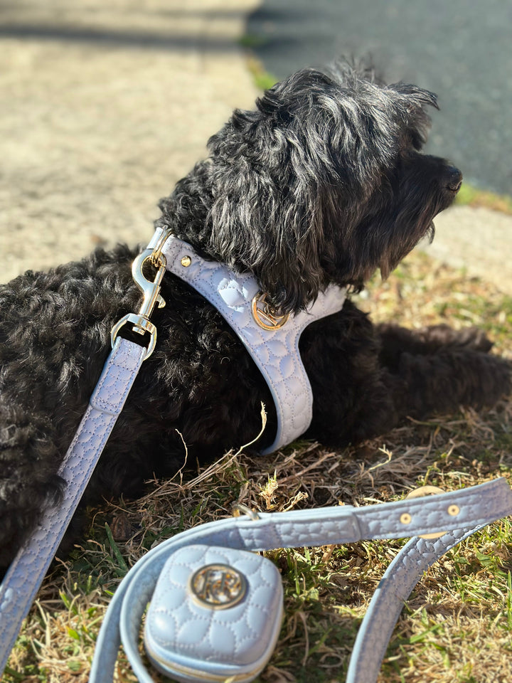 The Novalie ‘Mist’ - Step in Dog Harness is