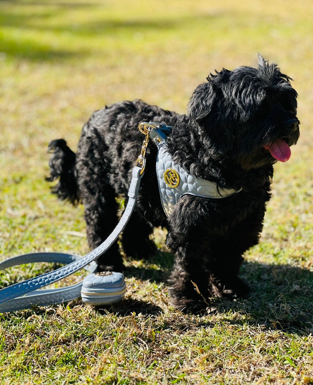 The Novalie ‘Mist’ - Step in Dog Harness is