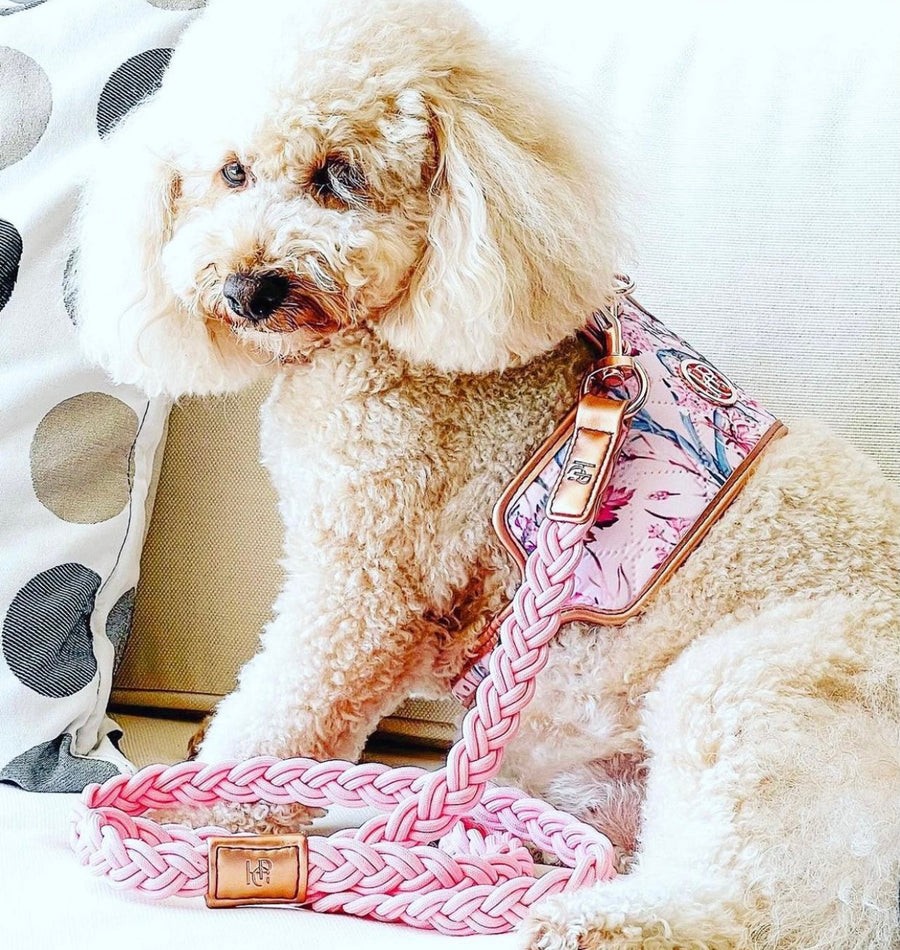 The ‘Lady’ Dog Harness