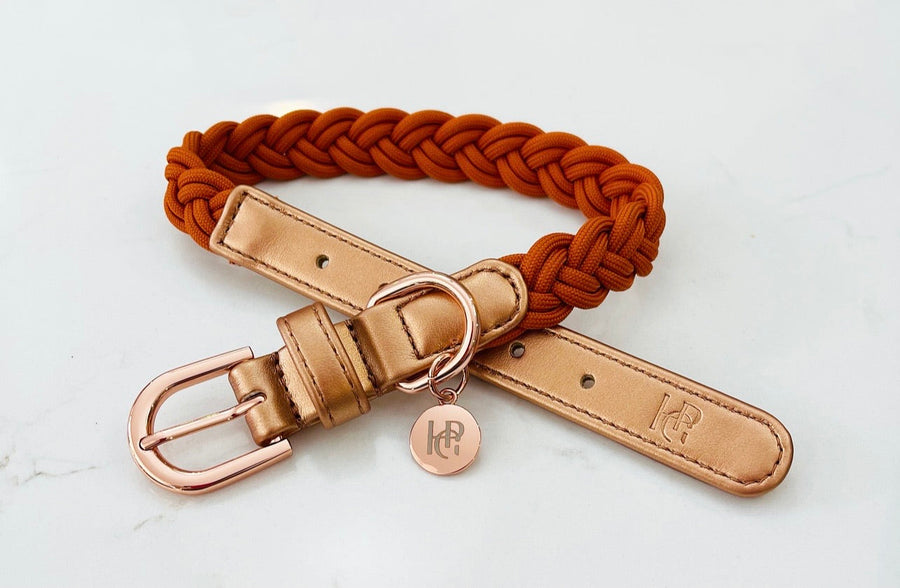 NEW - Dog Collar Cinnamon Rust Plaited