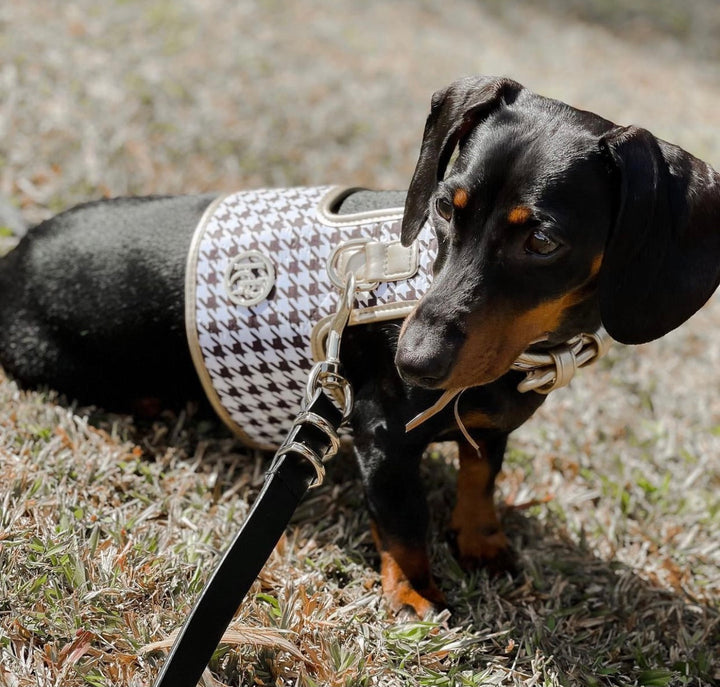 The 'Houndstooth' Dog Harness