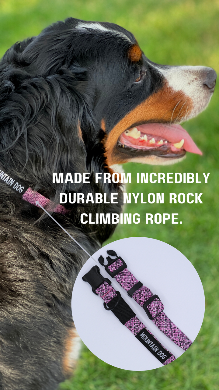 New Mountain Dog Style Climbing Rope Dog Collar