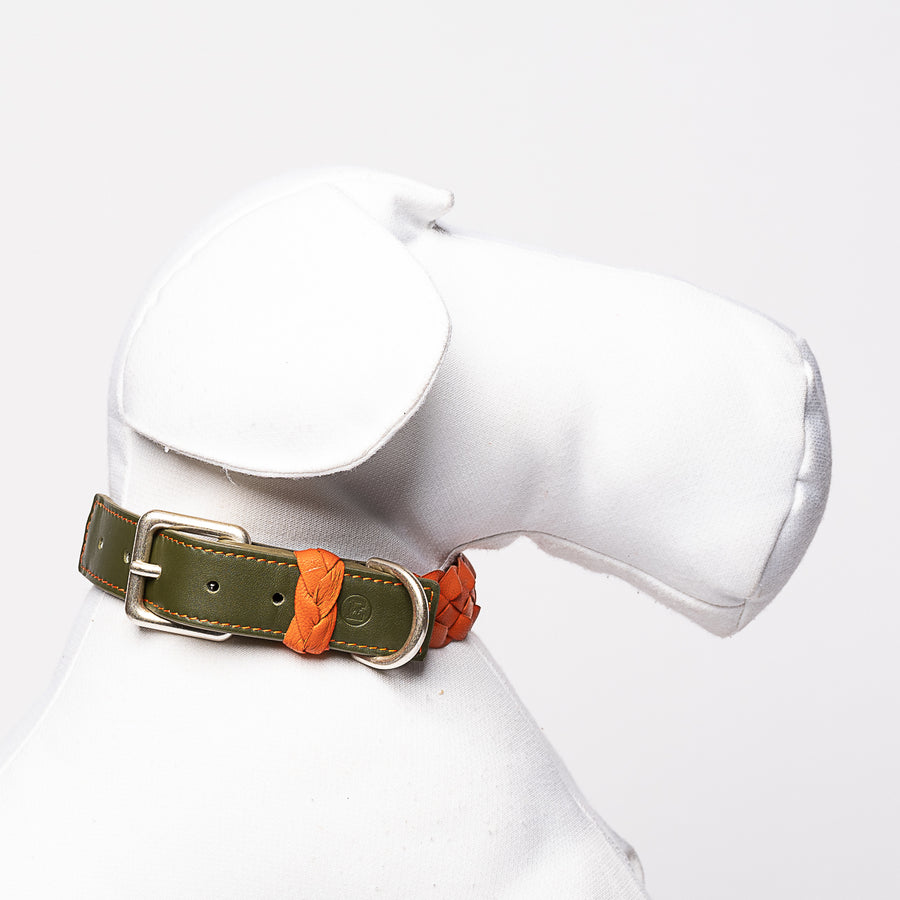 Collar For Dogs In Orange And Green Leather Emma Firenze