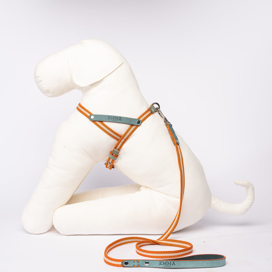 Harness In Light Blue Nubuck Leather And Fabric Emma Firenze