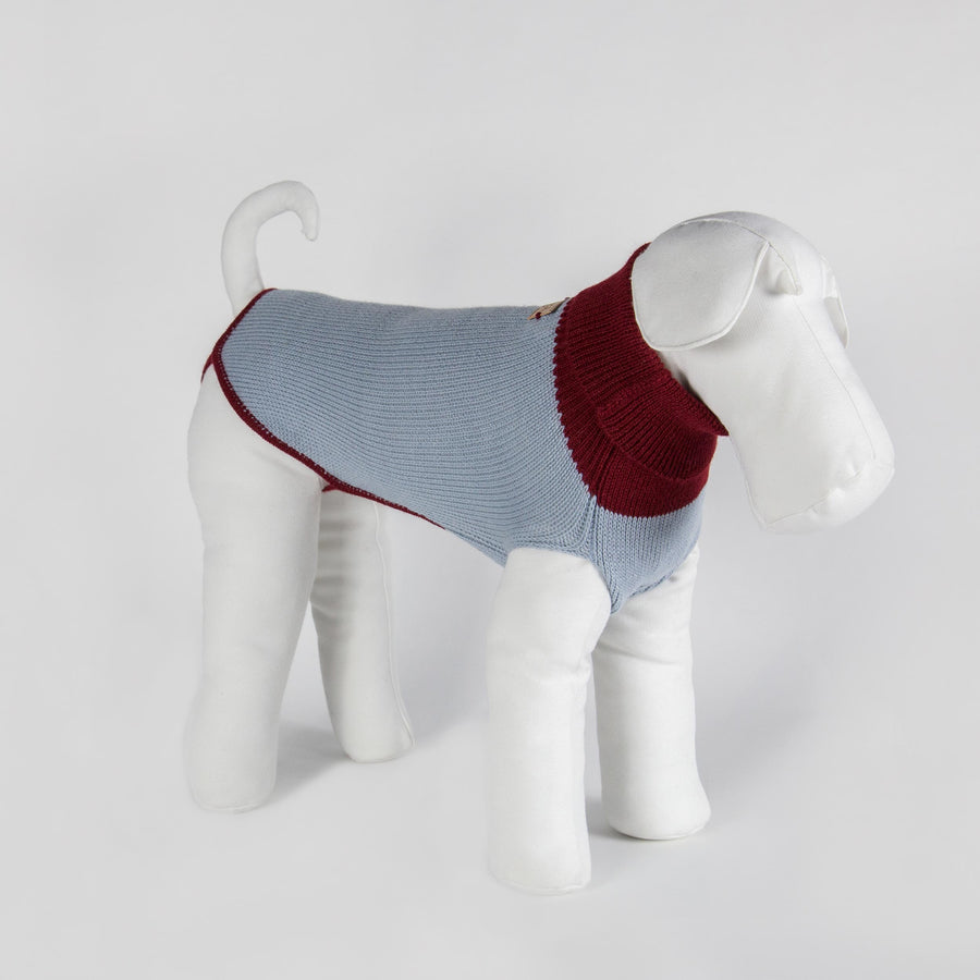 Bespoke Sweater For Dogs In Powder Blue Pure Alpaca Emma Firenze