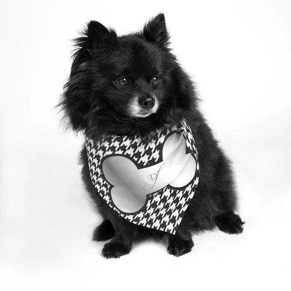 Silver Bone Classy Dog Bandana by Dog Fashion Living PetStore Direct