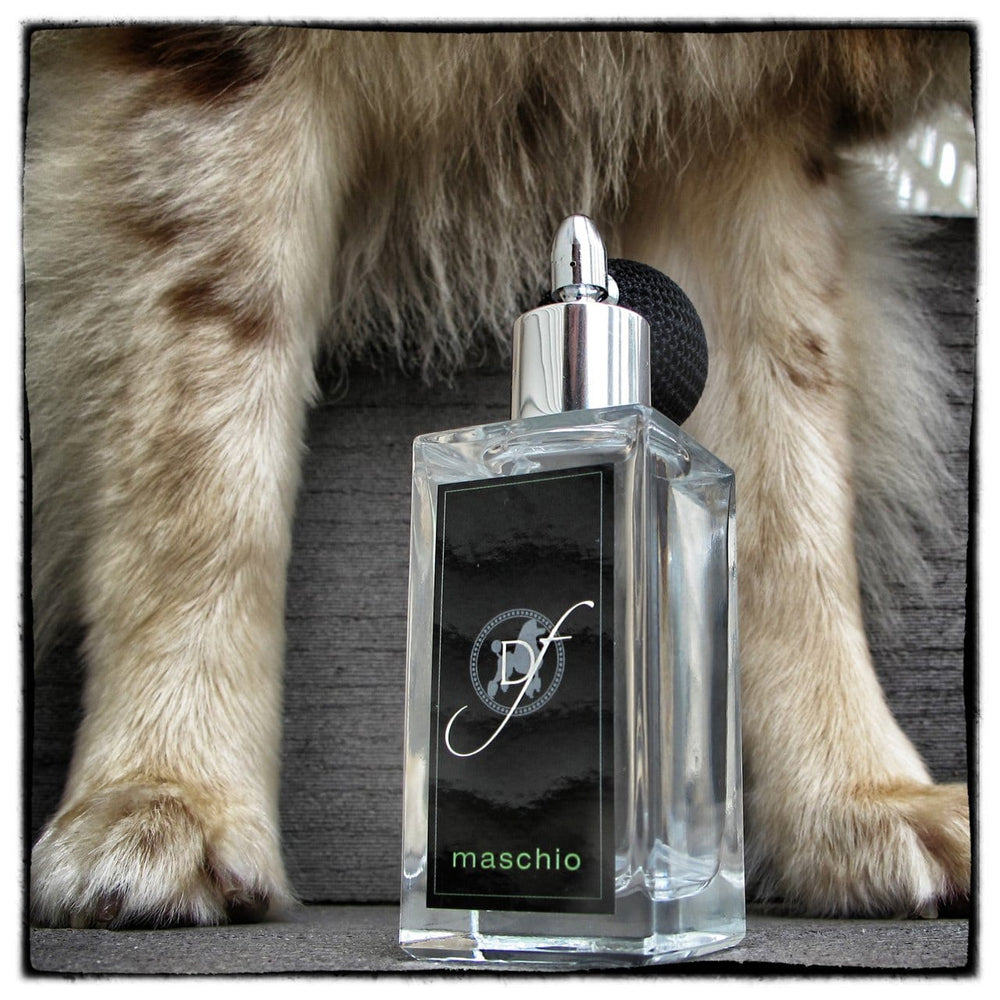 Maschio Male Dog Perfume by Dog Fashion Spa PetStore Direct