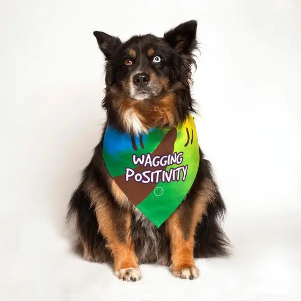 Wagging Positivity Dog Bandana by Dog Fashion Living PetStore Direct