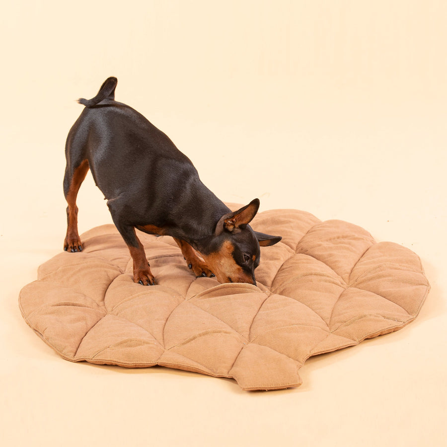 Pine Cone Playmat for Dogs